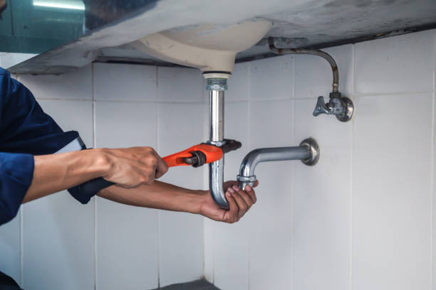 Best Clogged Drain Plumber  in Palmetto Estates, FL