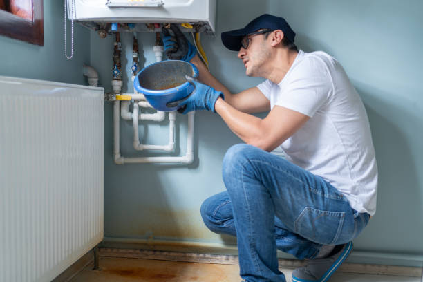 Best Plumbing Inspection Services  in Palmetto Estates, FL